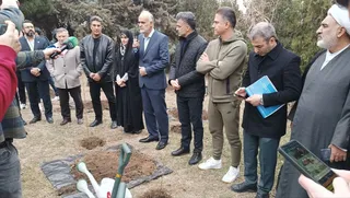 فدراسیون