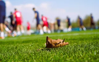 فدراسیون