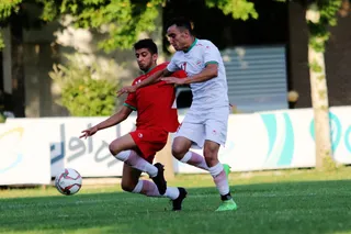 تيم اميد