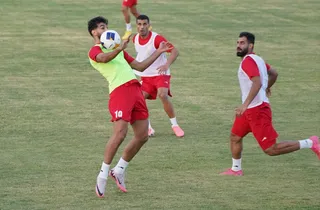 تیم ملی