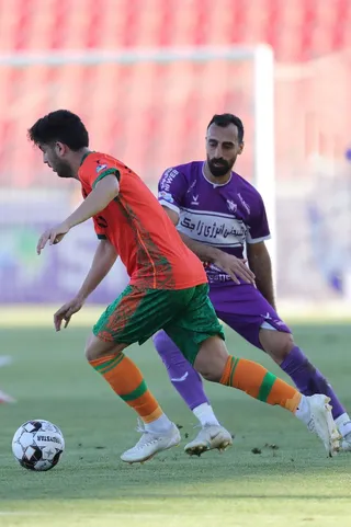 هوادار