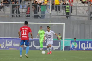 هوادار