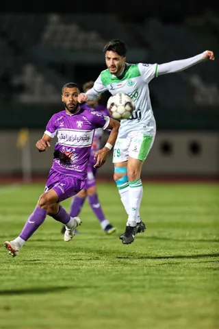 هوادار