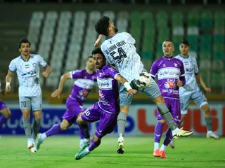 هوادار