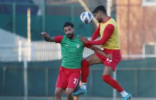 بزرگسالان ۲