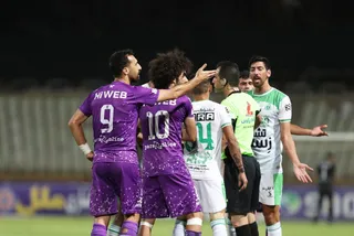 هوادار