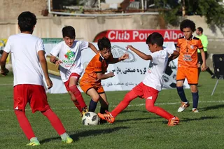 فستیوال
