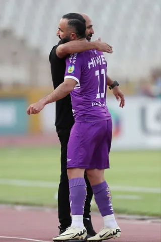 هوادار
