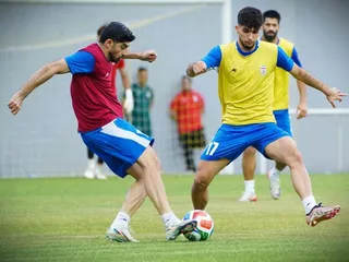 تیم ملی