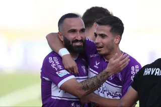 هوادار