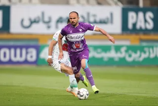 هوادار
