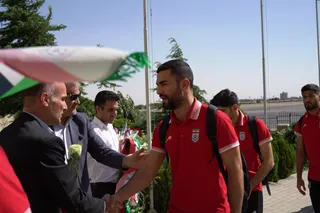 بزرگسالان