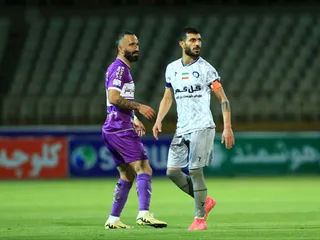 هوادار