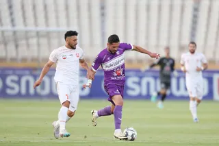 هوادار