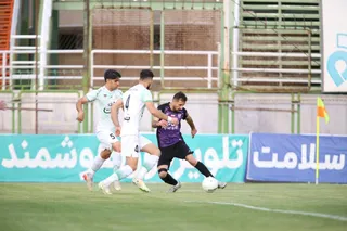 هوادار