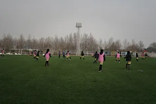 سلیمی