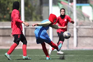 شاهین