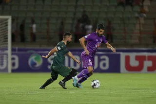 هوادار