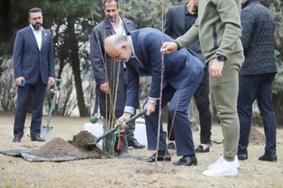 فدراسیون