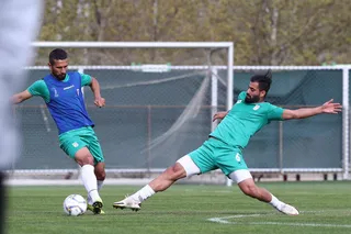تیم ملی