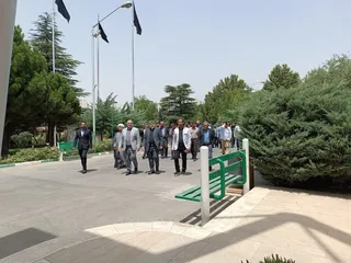 فدراسیون