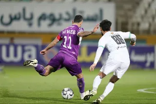 هوادار
