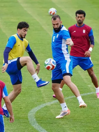 تیم ملی