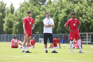 بزرگسالان