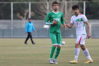 دوستانه