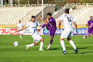 هوادار