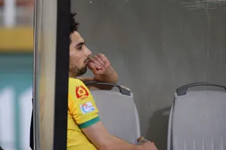 هوادار