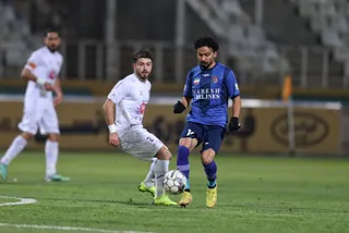 هوادار