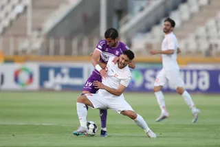 هوادار