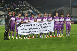 هوادار