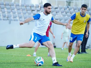 تیم ملی