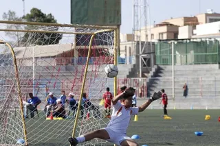 فستیوال کرمان