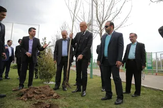 کولینا-1