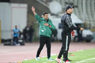 هوادار
