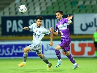 هوادار