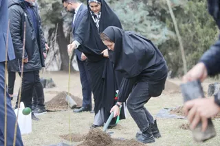 فدراسیون