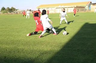 ساهو