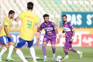 هوادار