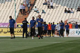 ويلموتس