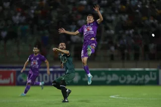 هوادار