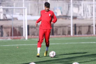 تيم اميد