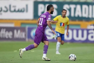 هوادار