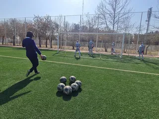ترین