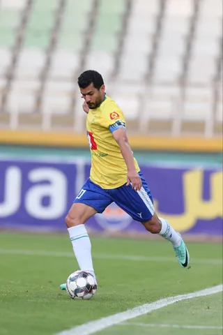 هوادار