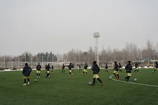 سلیمی