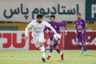 هوادار